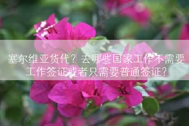 塞尔维亚货代？去哪些国家工作不需要工作签证或者只需要普通签证？