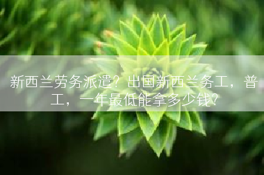 新西兰劳务派遣？出国新西兰务工，普工，一年最低能拿多少钱？