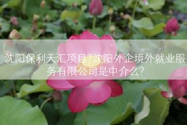 沈阳保利天汇项目?沈阳外企境外就业服务有限公司是中介么?