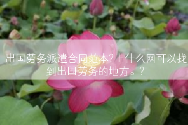 出国劳务派遣合同范本?上什么网可以找到出国劳务的地方。?