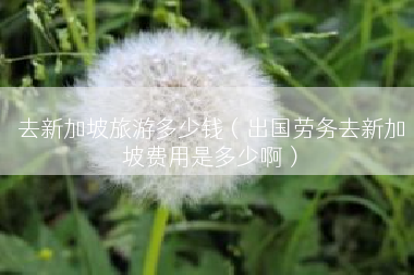 去新加坡旅游多少钱（出国劳务去新加坡费用是多少啊）
