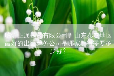 临沂正通医药有限公司？山东泰安地区最好的出国劳务公司是哪家？得需要多少钱？