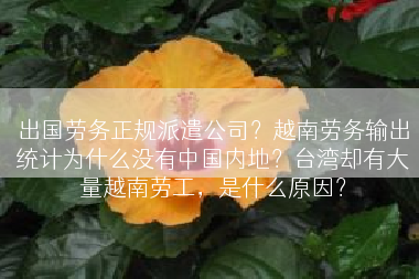 出国劳务正规派遣公司？越南劳务输出统计为什么没有中国内地？台湾却有大量越南劳工，是什么原因？