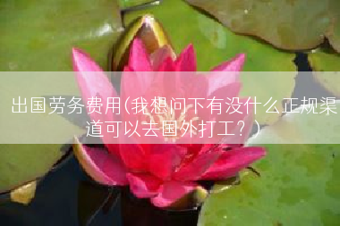 出国劳务费用(我想问下有没什么正规渠道可以去国外打工？)
