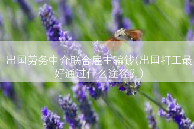 出国劳务中介联合雇主骗钱(出国打工最好通过什么途径？)