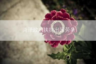 菏泽政府扶持出国劳务