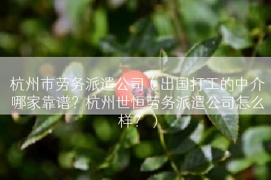 杭州市劳务派遣公司（出国打工的中介哪家靠谱？杭州世恒劳务派遣公司怎么样？）