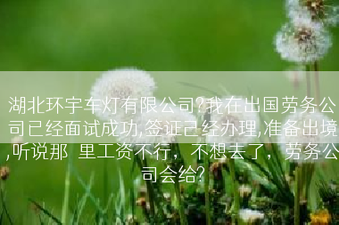 湖北环宇车灯有限公司?我在出国劳务公司已经面试成功,签证己经办理,准备出境,听说那�里工资不行，不想去了，劳务公司会给?