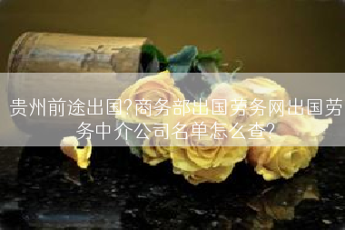 贵州前途出国?商务部出国劳务网出国劳务中介公司名单怎么查?