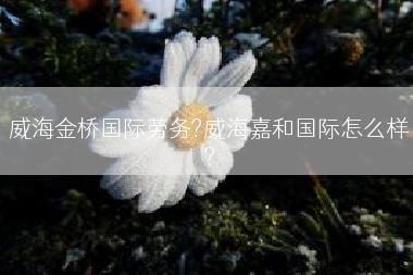威海金桥国际劳务?威海嘉和国际怎么样?