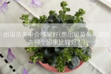 出国劳务中介哪家好(想出国劳务，现在去哪个国家比较好？)