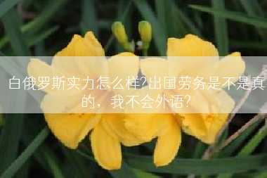 白俄罗斯实力怎么样?出国劳务是不是真的，我不会外语?