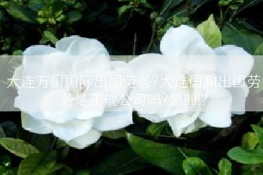 大连万国国际出国劳务?大连国和出国劳务是正规公司吗?急!!!!!?