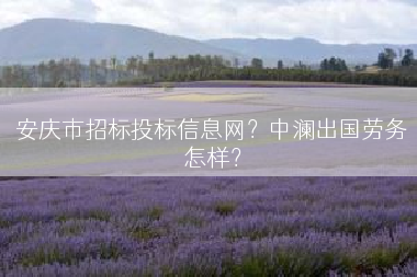 安庆市招标投标信息网？中澜出国劳务怎样？