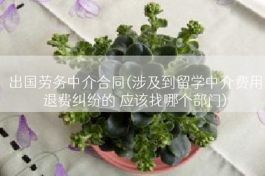 出国劳务中介合同(涉及到留学中介费用退费纠纷的 应该找哪个部门)