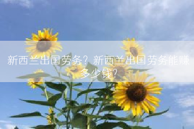 新西兰出国劳务？新西兰出国劳务能赚多少钱？