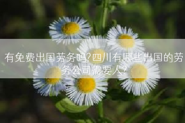 有免费出国劳务吗?四川有哪些出国的劳务公司需要人?