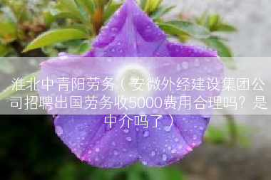 淮北中青阳劳务（安微外经建设集团公司招聘出国劳务收5000费用合理吗？是中介吗了）
