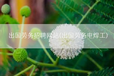 出国劳务招聘网站(出国劳务电焊工)