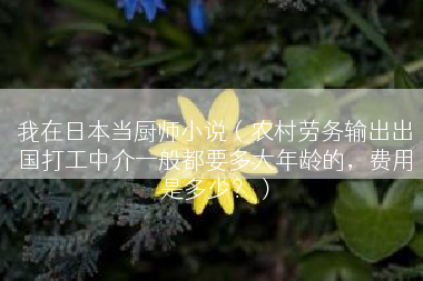 我在日本当厨师小说（农村劳务输出出国打工中介一般都要多大年龄的，费用是多少？）