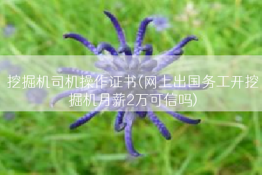 挖掘机司机操作证书(网上出国务工开挖掘机月薪2万可信吗)