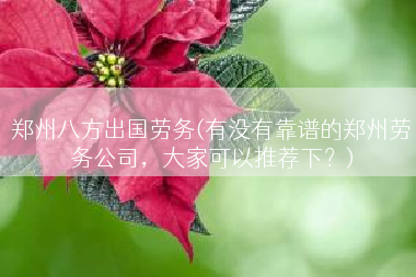 郑州八方出国劳务(有没有靠谱的郑州劳务公司，大家可以推荐下？)