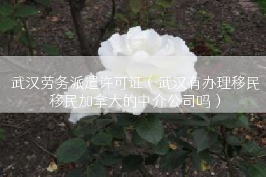 武汉劳务派遣许可证（武汉有办理移民移民加拿大的中介公司吗）