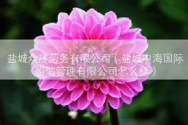 盐城众晟劳务有限公司（盐城中海国际船舶管理有限公司怎么样）