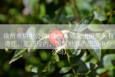 徐州市供电公司(徐州市哪家出国劳务有资质，是正规的，国家批准的出国中介公司)