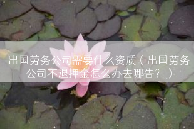 出国劳务公司需要什么资质（出国劳务公司不退押金怎么办去哪告？）