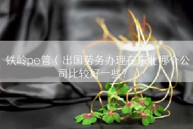铁岭pe管（出国劳务办理在东北哪个公司比较好一些？）
