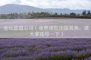 金坛盐道公司（我想现在出国劳务，请大家指导一下）