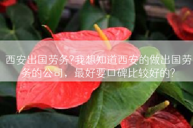 西安出国劳务?我想知道西安的做出国劳务的公司，最好要口碑比较好的?