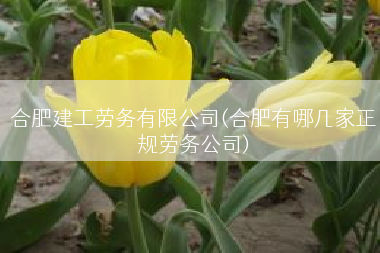 合肥建工劳务有限公司(合肥有哪几家正规劳务公司)