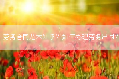 劳务合同范本知乎？如何办理劳务出国？