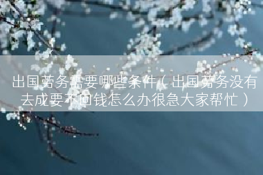 出国劳务需要哪些条件（出国劳务没有去成要不回钱怎么办很急大家帮忙）