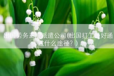 出国劳务正规派遣公司(出国打工最好通过什么途径？)