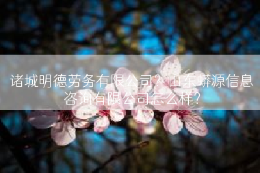 诸城明德劳务有限公司？山东蟒源信息咨询有限公司怎么样？