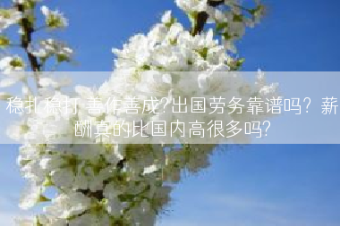 稳扎稳打 善作善成?出国劳务靠谱吗？薪酬真的比国内高很多吗?