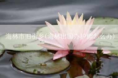 海林市旧街乡(海林出国办护照怎么办)