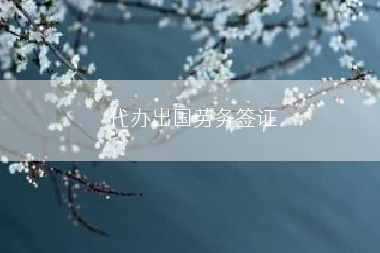 代办出国劳务签证