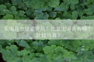 东海县市场监管局？如皋出国劳务哪个比较可靠？