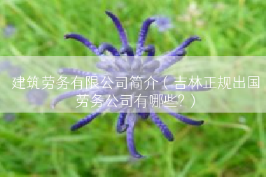 建筑劳务有限公司简介（吉林正规出国劳务公司有哪些?）