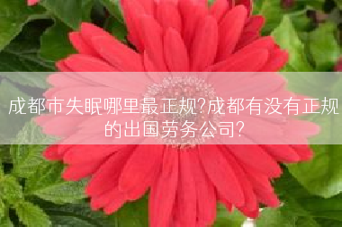 成都市失眠哪里最正规?成都有没有正规的出国劳务公司?