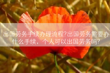 出国劳务手续办理流程?出国劳务需要办什么手续，个人可以出国劳务吗?