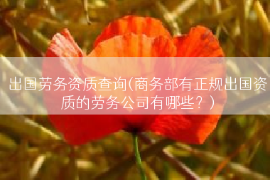 出国劳务资质查询(商务部有正规出国资质的劳务公司有哪些？)
