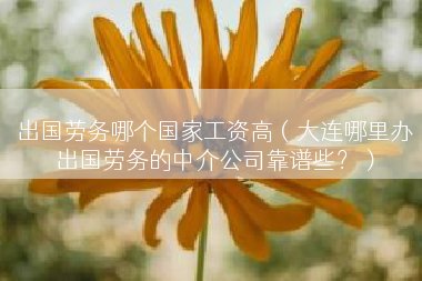 出国劳务哪个国家工资高（大连哪里办出国劳务的中介公司靠谱些？）
