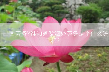 出国劳务?谁知道做海外劳务是个什么流程?