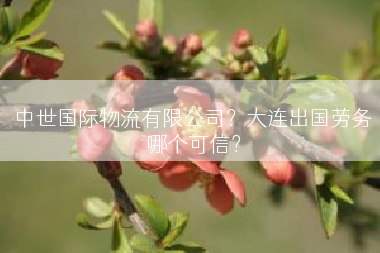 中世国际物流有限公司？大连出国劳务哪个可信？