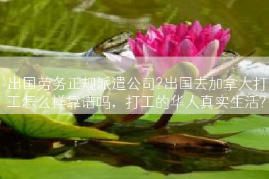 出国劳务正规派遣公司?出国去加拿大打工怎么样靠谱吗，打工的华人真实生活?